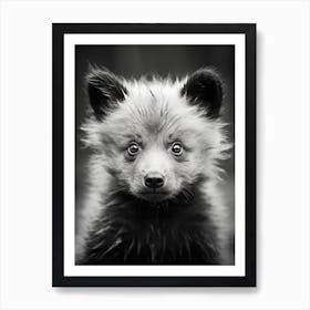 Black And White Photograph Of A Bear Cub Art Print