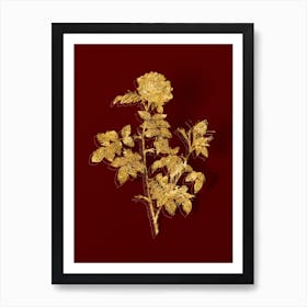 Vintage Pink Rosebush Botanical in Gold on Red n.0437 Art Print