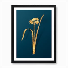 Vintage Cowslip Cupped Daffodil Botanical in Gold on Teal Blue n.0056 Art Print