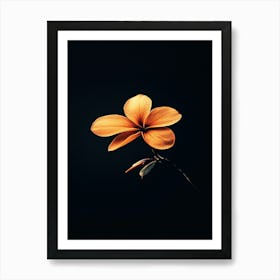 Orange Flower On Black Background Art Print