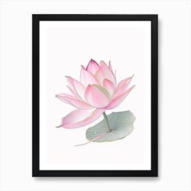 Pink Lotus Pencil Illustration 4 Art Print