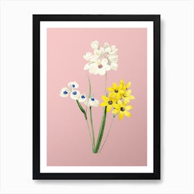 Vintage Corn Lily Botanical on Soft Pink n.0647 Art Print
