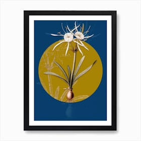 Vintage Botanical Streambank Spiderlily on Circle Yellow on Blue Art Print