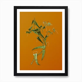 Vintage Rough Bindweed Botanical on Sunset Orange n.0590 Art Print