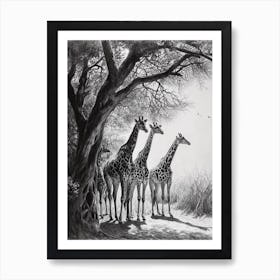 Herd Of Giraffe By The Tree 5 Art Print