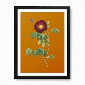 Vintage Rose Botanical on Sunset Orange n.0308 Art Print