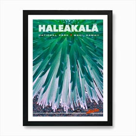 Haleakala National Park Art Print