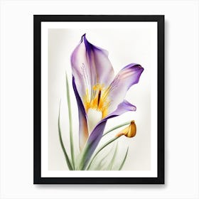 Mariposa Lily Wildflower Watercolour 1 Art Print