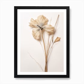 Pressed Flower Botanical Art Flax Flower 3 Art Print