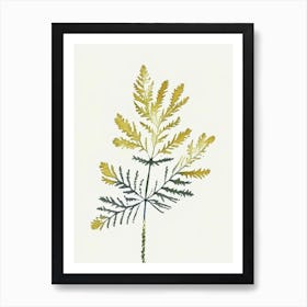 Tansy Leaf Minimalist Watercolour 1 Art Print