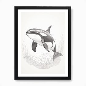 Minimalist Realism Of Orca Whale Pencil Drawing Style Art Print