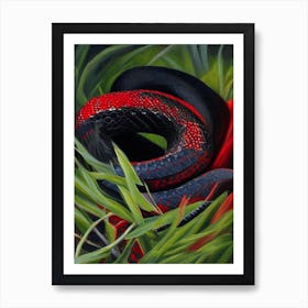 Red Bellied Black Snake Painting Art Print