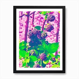 Blackberry 1 Risograph Retro Poster Fruit Art Print