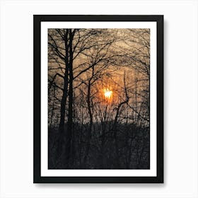 Sunrise Through The Trees Art Print