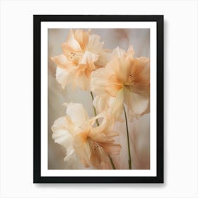 Boho Dried Flowers Amaryllis 2 Art Print