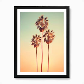 California Dreaming - Sunrise Palms Art Print