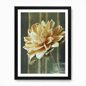 Dahlia Art Print