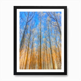 Sunlit Wood Art Print