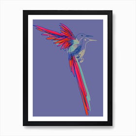 Hummingbird001 Art Print