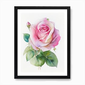 Rose Wildflower Watercolour 2 Art Print