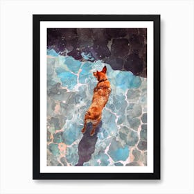 Dog In The Pool animal Dog's life Art Print