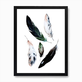 Feathers Watercolor Art Print