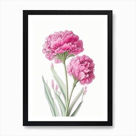 Carnation Floral Quentin Blake Inspired Illustration 3 Flower Art Print