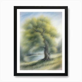 Willow Tree Swaying In The Wind Art Print