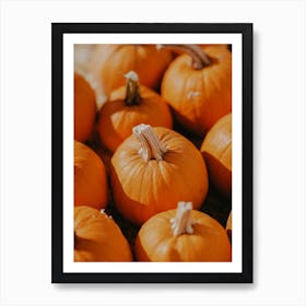 Perfect Pumpkins Art Print