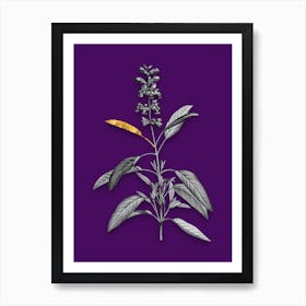 Vintage Sage Plant Black and White Gold Leaf Floral Art on Deep Violet n.0155 Art Print