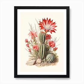 Vintage Cactus Illustration Zebra Cactus 2 Art Print
