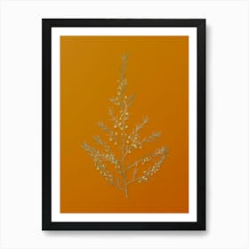 Vintage Sea Asparagus Botanical on Sunset Orange n.0245 Art Print
