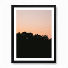 Birds Enjoying Orange Sunset Art Print