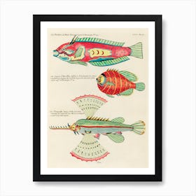 Colourful And Surreal Illustrations Of Fishes Found In Moluccas (Indonesia) And The East Indies, Louis Renard(13) Art Print