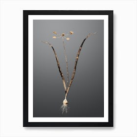 Gold Botanical Allium Scorzonera Folium on Soft Gray n.0214 Art Print