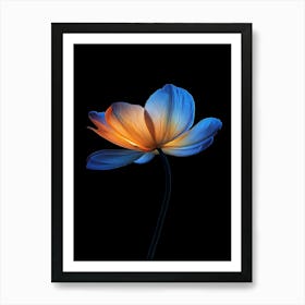 Lotus Flower 18 Art Print