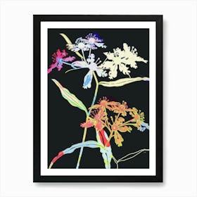 Neon Flowers On Black Queen Annes Lace 2 Art Print