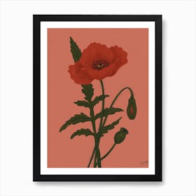 Flower Poppy Art Print