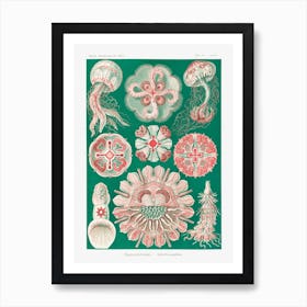 Vintage Jellyfish Art Print