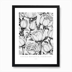 Rose 3 B&W Vintage Botanical Poster Art Print