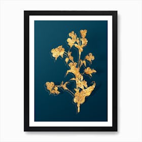 Vintage Commelina Tuberosa Botanical in Gold on Teal Blue n.0280 Art Print