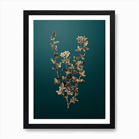 Gold Botanical Yellow Jasmine Flowers on Dark Teal n.2244 Art Print