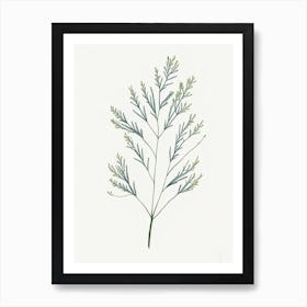 Caraway Leaf Minimalist Watercolour 2 Art Print