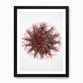 Cacti Art Print