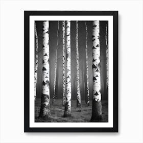 Birch Forest 93 Poster