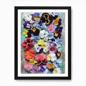 Pansy Collection Art Print