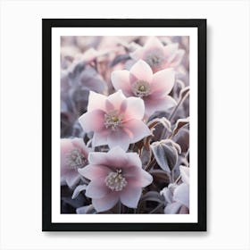 Frosty Botanical Lenten Rose 4 Art Print