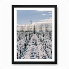 Unitltled 14 - Snow in the Vineyard Series Art Print