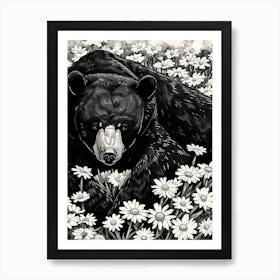 Malayan Sun Bear Resting In A Field Of Daisies Ink Illustration 2 Art Print