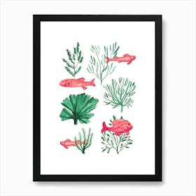Watercolor Fish And Corals Art Print